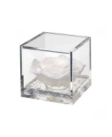 FLOWER CUBE ROSA 6X6 +PACKAGING BLANCO