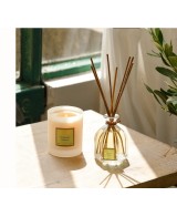 RAMO PERFUMADO 100ML VERBENA