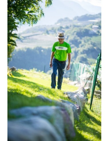 SOMBRERO DE PAJA PARA HOMBRE TALLAS 56/58/60