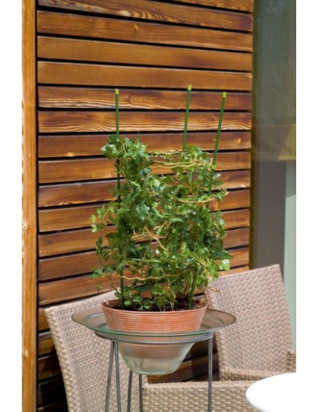 Soportes para Plantas en Macetas 75 cm | Acero Recubierto de Plástica

