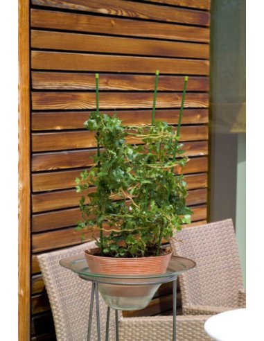Soportes para Plantas en Macetas 60 cm  Acero Recubierto | Endanea Garden

