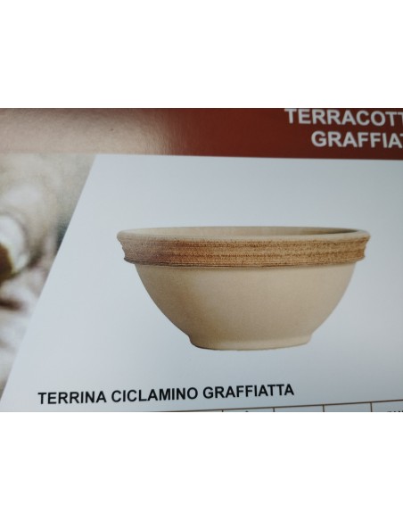 TARRINA CICLAMINADO VULCANO 23 TARRINA CICLAMINADO VULCANO 23