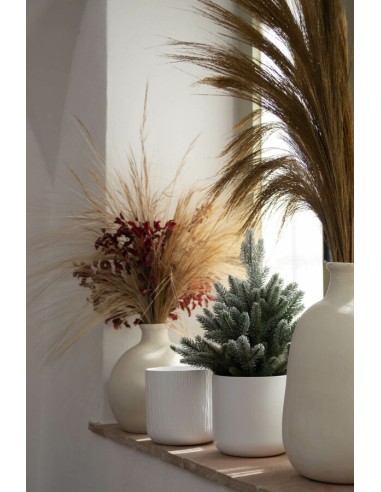 Maceta Sita Air Blanco 13.5x13 cm | Cerámica Elegante para Plantas de Interior

