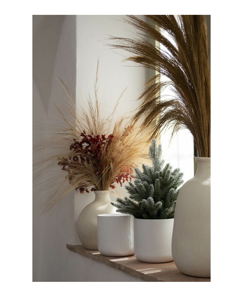 Planta en Maceta SITA Blanco 11x11.5 cm  Elegancia y Naturaleza para Interiores

