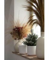 Planta en Maceta SITA Blanco 11x11.5 cm  Elegancia y Naturaleza para Interiores

