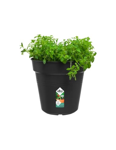 Maceta G.B. Growpot 24CM Negro - Elegante y Funcional para Todas tus Plantas | Endanea Garden

