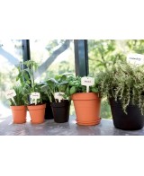 Maceta G.B. Growpot Negra 35 cm - Ideal para Plantas de Jardín y Decoración | Endanea Garden