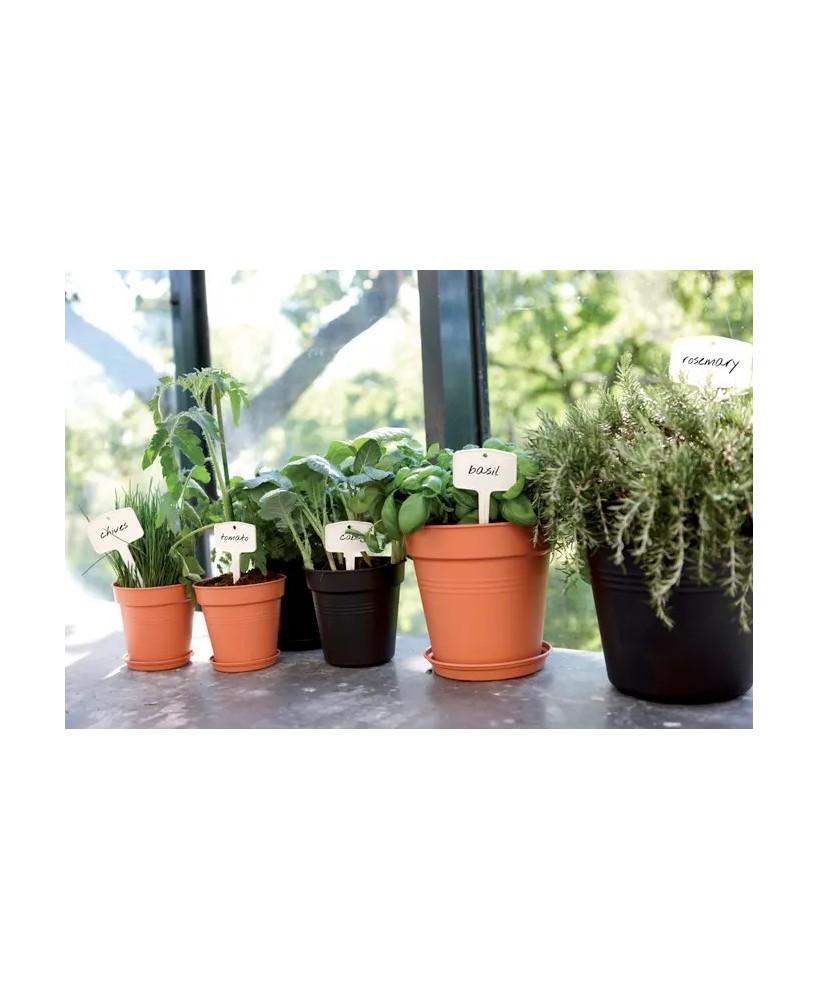 Maceta G.B. Growpot 40 cm Negro - Ideal para Cultivo en Interior y Exterior | Endanea Garden

