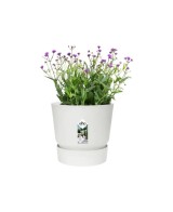 Maceta GV Redondo Blanco 14 cm | Elegante y Versátil | Endanea Garden

