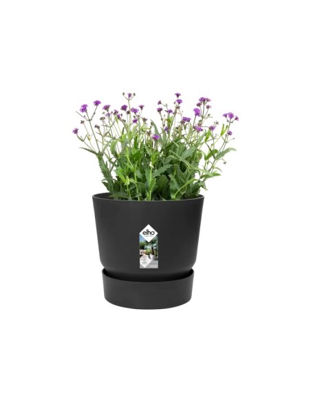 Maceta Redonda Greenville Negro 18 cm | Elegante y Funcional para Interiores y Exteriores | Endanea Garden

