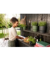 Maceta Redonda Greenville Negro 18 cm | Elegante y Funcional para Interiores y Exteriores | Endanea Garden

