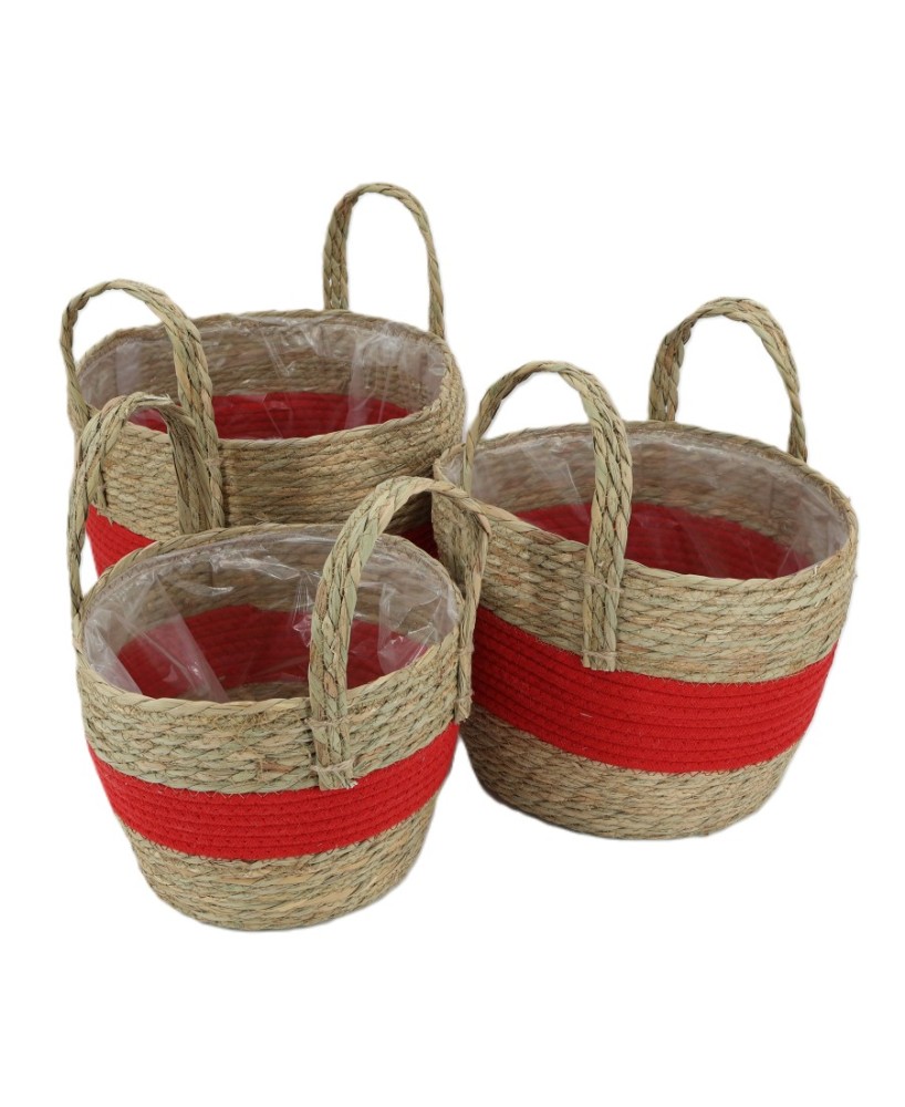 CESTA ASA FRAME MEDIANA