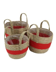 CESTA ASA FRAME GRANDE