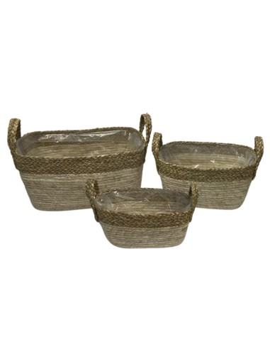 CESTA ASA TYR MEDIANA