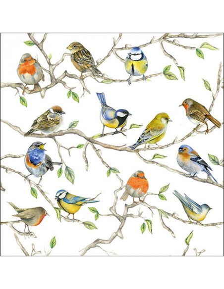 SERVILLETA 33 BIRDS MEETING FSC MIX