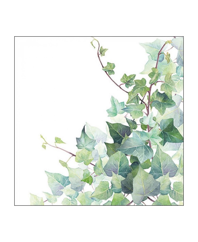 SERVILLETA 33 HEDERA WHITE FSC MIX