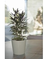 Maceta Cometa Blanco 20.5x20.5 cm  Diseño Minimalista y Durable para Plantas

