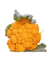 COLIFLOR NARANJA PACK 6