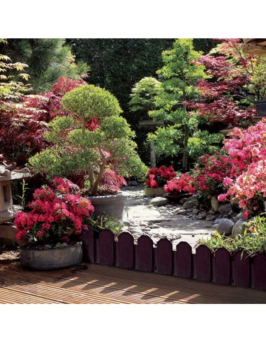 Bordura de Polietileno Sierra Border Chocolate 20x80 cm  Durable y Fácil de Instalar

