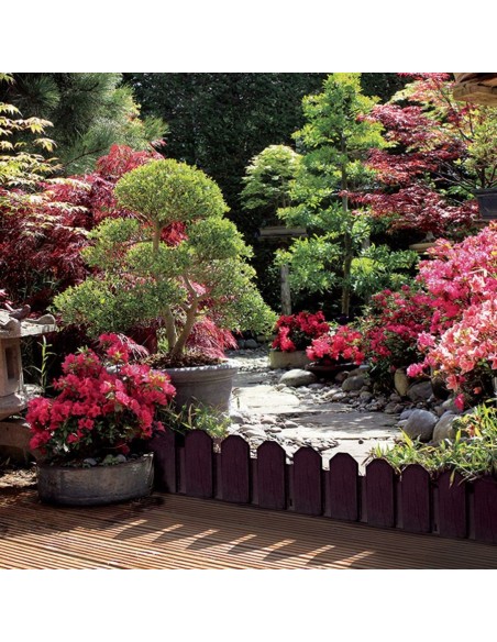 Bordura de Polietileno Sierra Border Chocolate 20x80 cm  Durable y Fácil de Instalar

