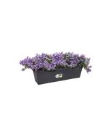Jardinera GB Trough 50cm Negro | Elegante y Resistente para Interiores y Exteriores | Endanea Garden
