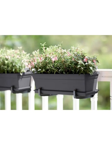Jardinera GB Trough 50cm Negro | Elegante y Resistente para Interiores y Exteriores | Endanea Garden