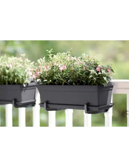 Jardinera GB Trough 50cm Negro | Elegante y Resistente para Interiores y Exteriores | Endanea Garden