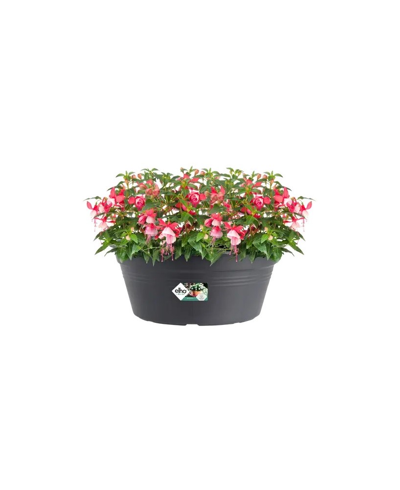 Maceta G.B. Bol Negro 38 cm - Elegante y Resistente para Jardín y Interior | Endanea Garden

