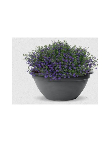 CUENCO ORIGINAL 28CM ANTRACITA