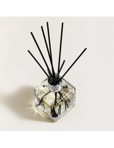 BOUQUET GLACON POUSSIERE AMBRE