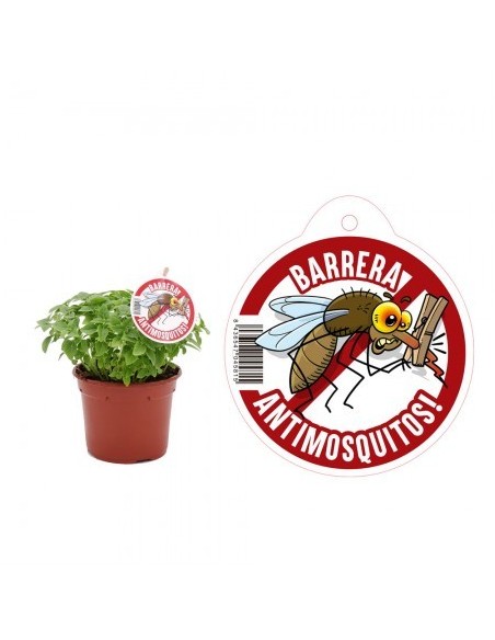 AIR GARDEN ALBAHACA ANTIMOSQUITOS