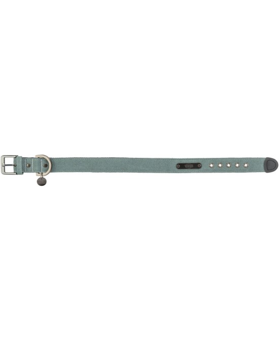 CITYSTYLE Collar Extra Ancho M Salvia | Collar Cómodo y Resistente para Perros Medianos

