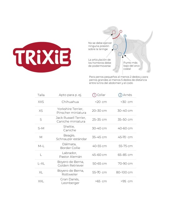 CITYSTYLE Collar Extra Ancho M Salvia | Collar Cómodo y Resistente para Perros Medianos

