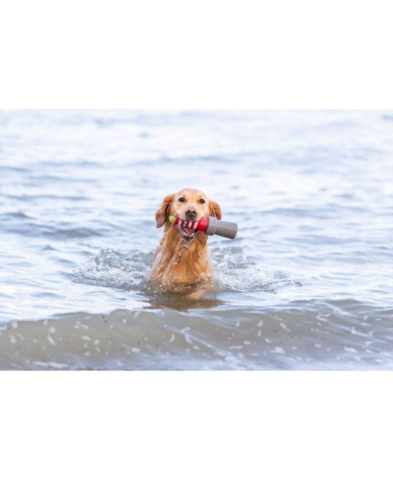 Juguete Acuático Faro con Cuerda 20cm para Perros | Juego Flotante y Resistente

