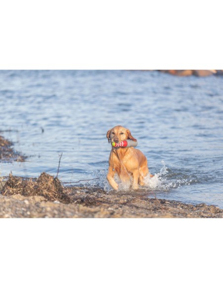 Juguete Acuático Faro con Cuerda 20cm para Perros | Juego Flotante y Resistente

