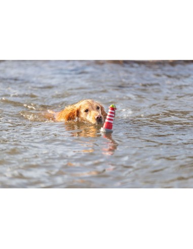 Juguete Acuático Faro con Cuerda 26cm para Perros | Juego Flotante y Resistente

