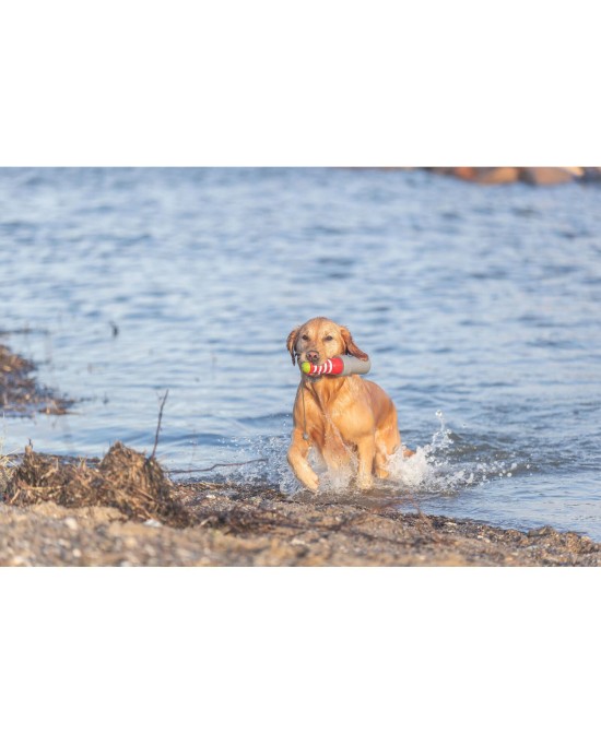 Juguete Acuático Faro con Cuerda 26cm para Perros | Juego Flotante y Resistente

