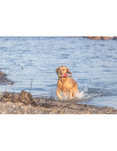 Juguete Acuático Faro con Cuerda 26cm para Perros | Juego Flotante y Resistente

