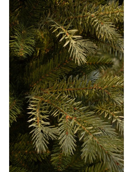 Pino Ardley Artificial Verde H185xD107cm - Árbol Decorativo Realista y Duradero

