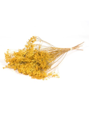 FLOR DE ESCOBA RAMO AMARILLO