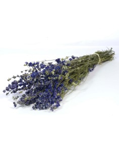 DELPHINIUM NATURAL AZUL