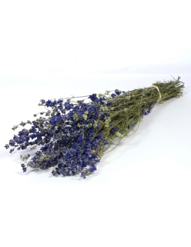 DELPHINIUM NATURAL AZUL