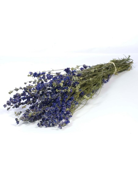 DELPHINIUM NATURAL AZUL