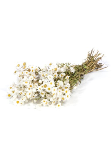 RHODATHE BLANCO NATURAL