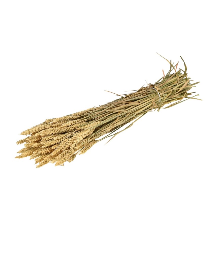 TARWE SOL NATURAL