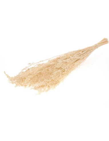 HIERBA ALFA BLANCA BLANQUEADA