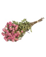 ROSAS SPRAY NATURAL ROSA CLARO