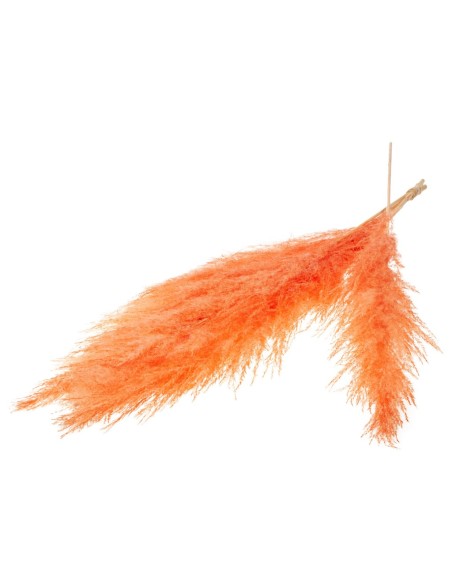 HIERBA DE LA PAMPA 115CM 5PC RAMO NARANJA QUEMADO
