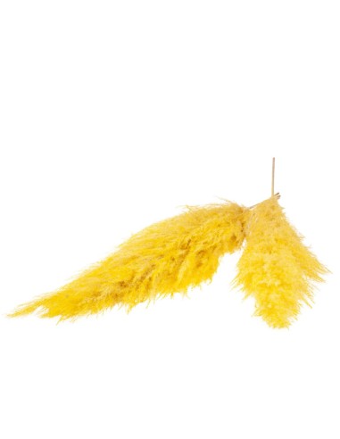 HIERBA DE LA PAMPA 115CM 5PC RAMO AMARILLO