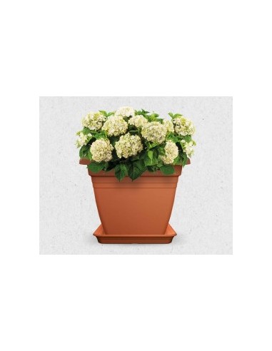 MACETA CUADRADA MEDITERRANEA 40CM. TIERRA